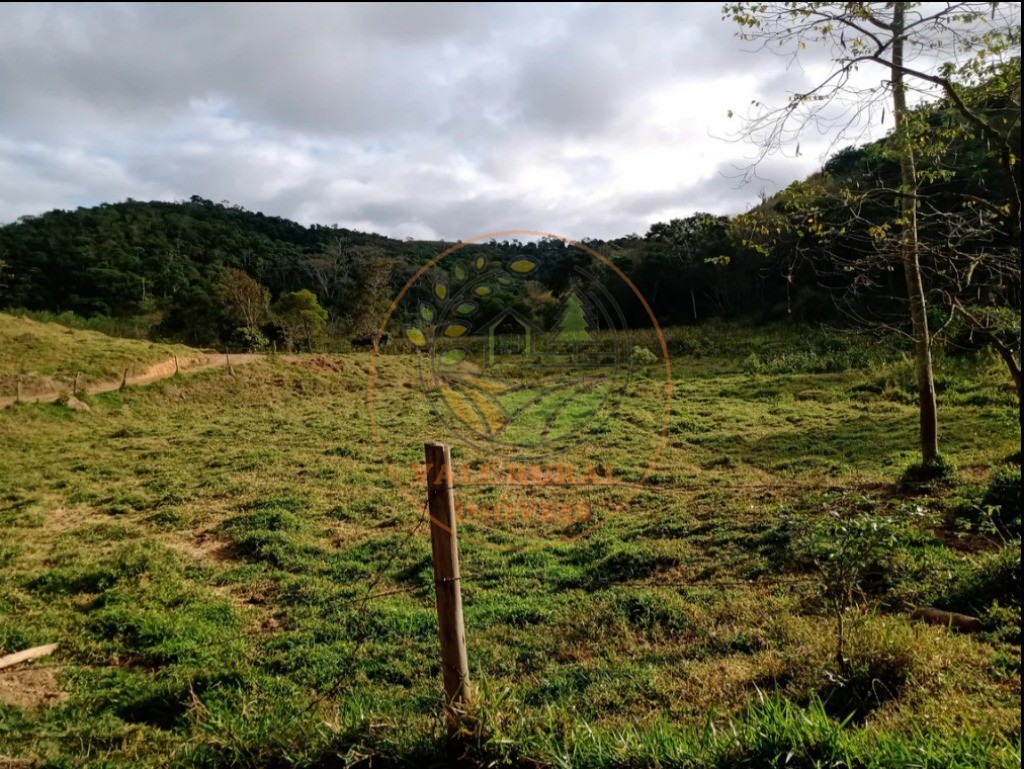 Fazenda - Foto 5