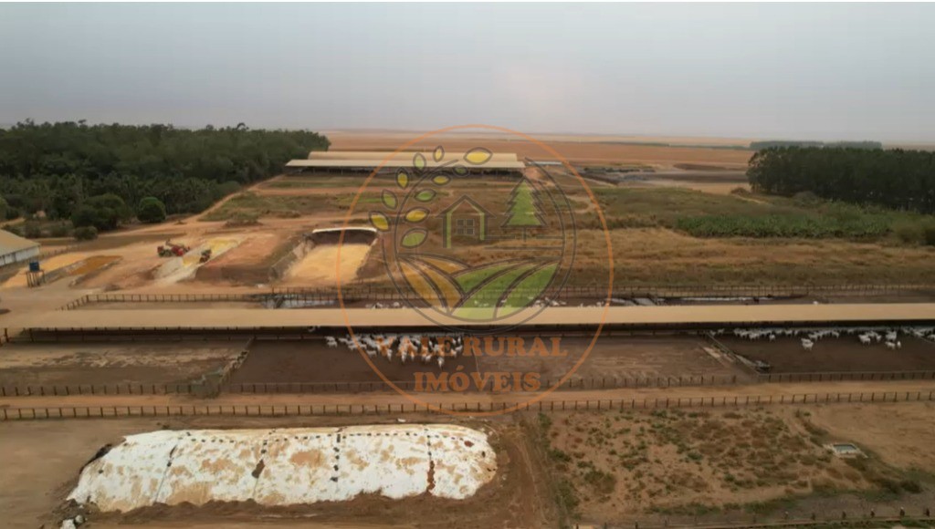 Fazenda - Foto 12