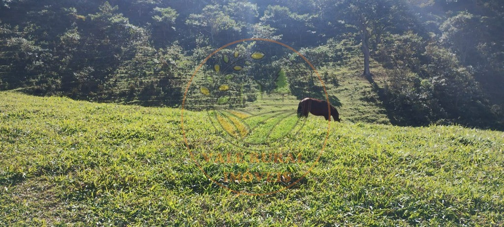 Sítio, 1 quarto - Foto 46