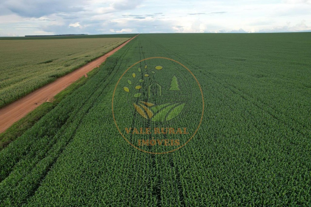 Fazenda - Foto 17
