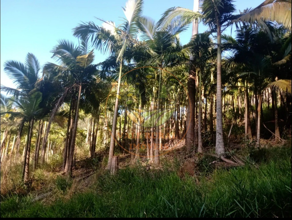 Fazenda, 3 quartos - Foto 24