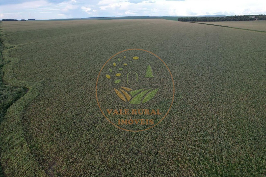 Fazenda - Foto 19