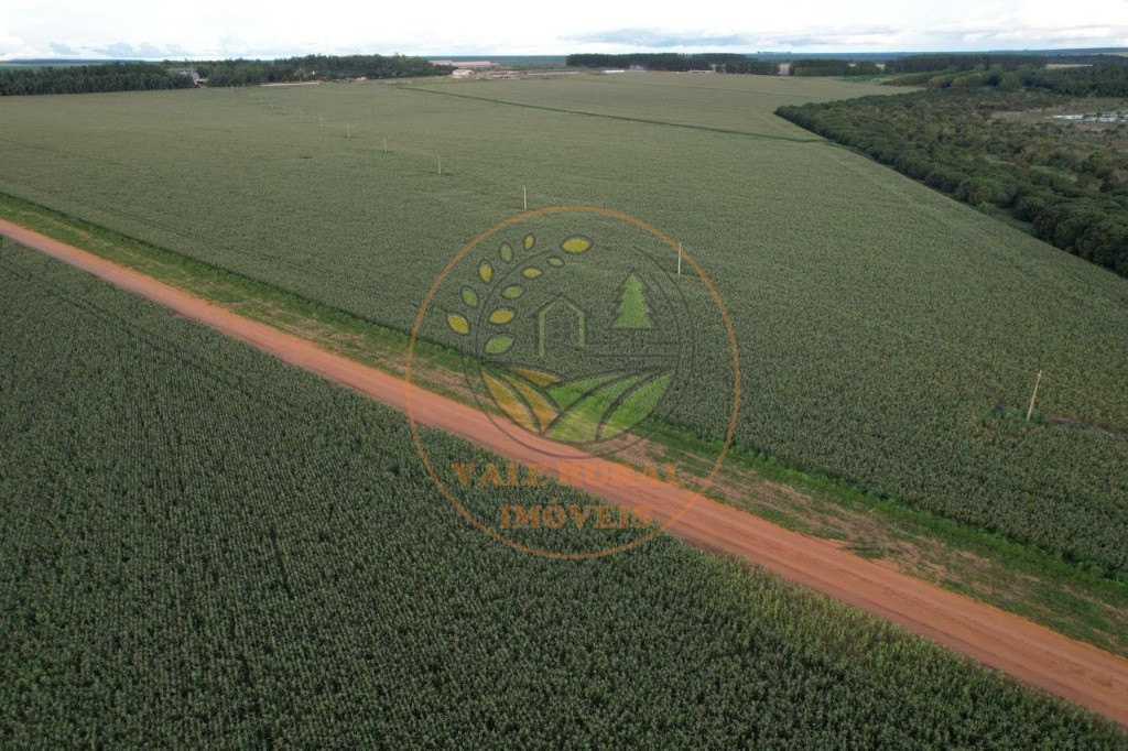 Fazenda - Foto 18