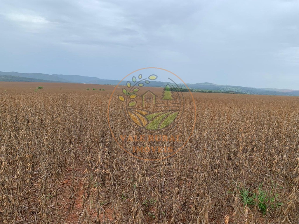 Fazenda - Foto 7