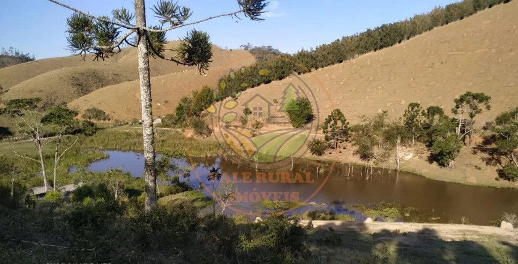 Fazenda - Foto 3