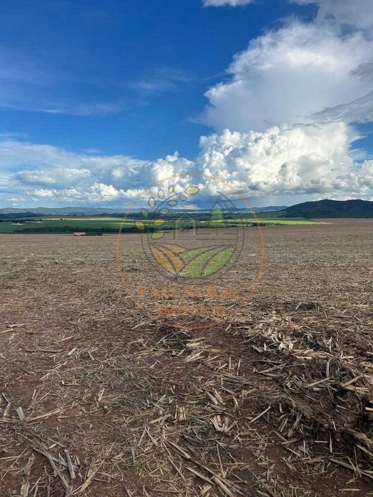 Fazenda - Foto 4
