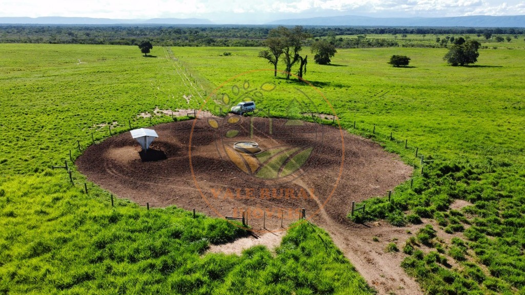 Fazenda - Foto 4