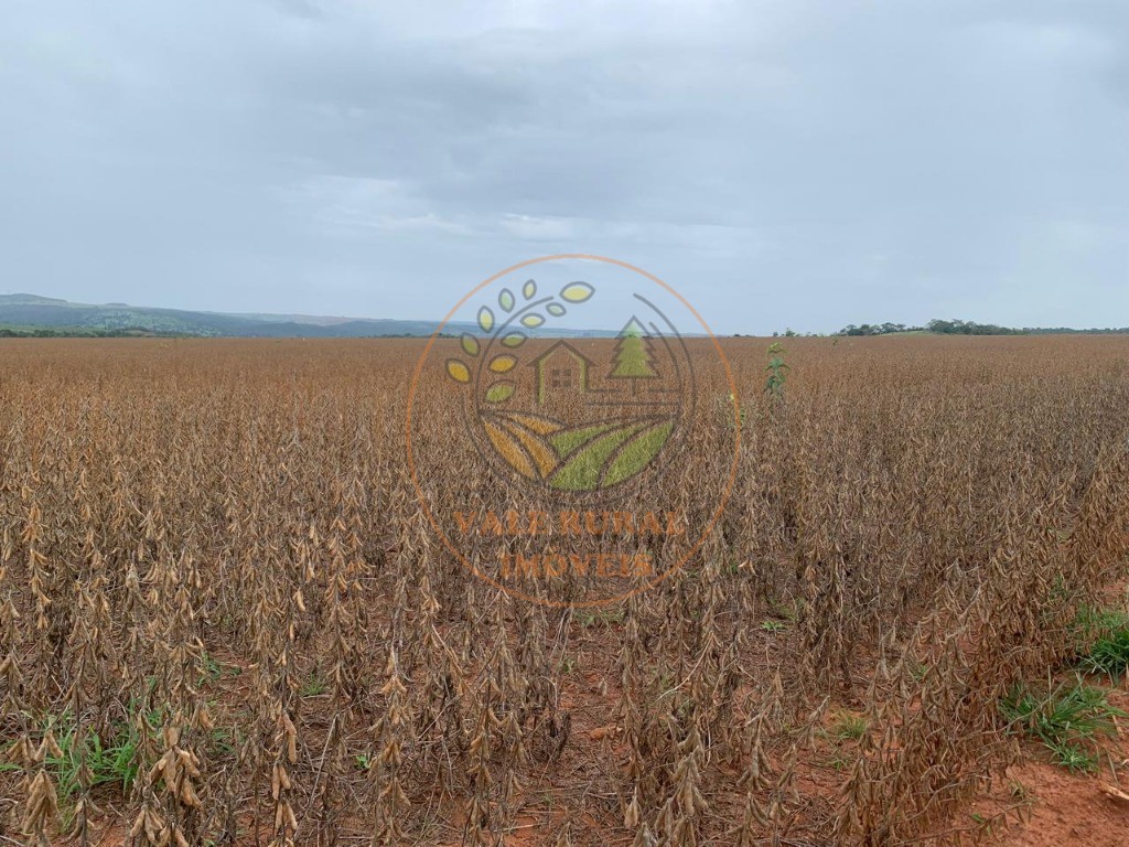 Fazenda - Foto 6
