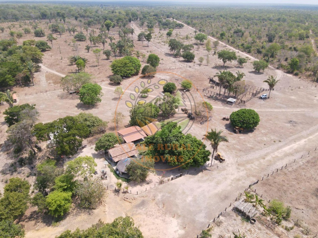 Fazenda - Foto 15