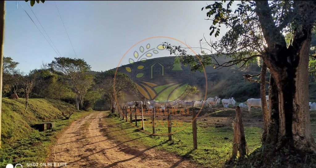 Fazenda - Foto 1