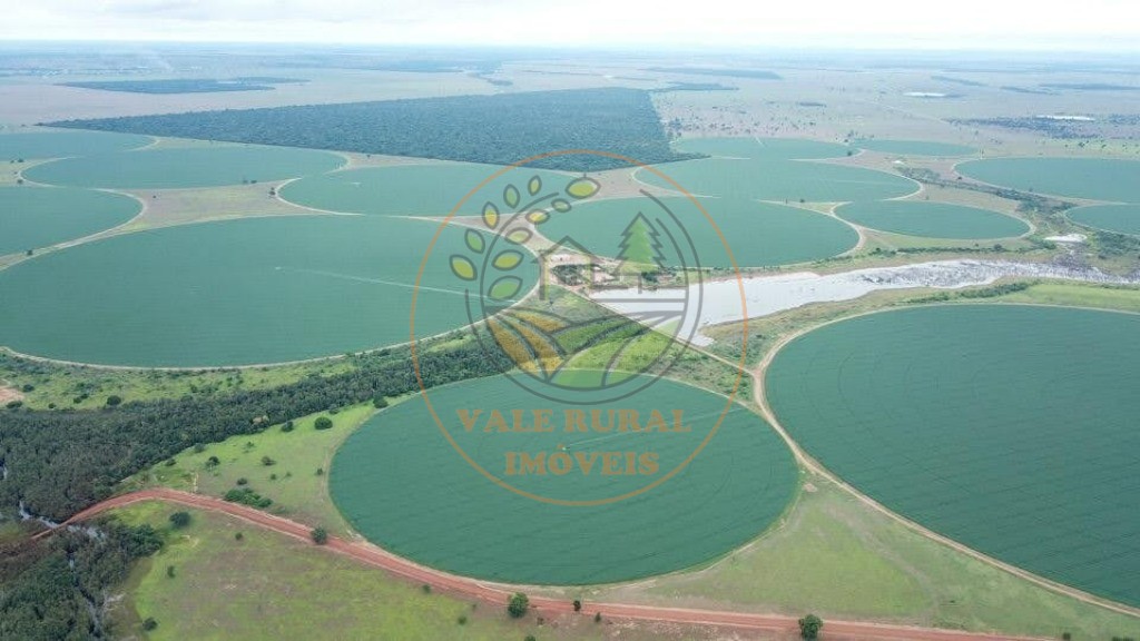 Fazenda - Foto 25