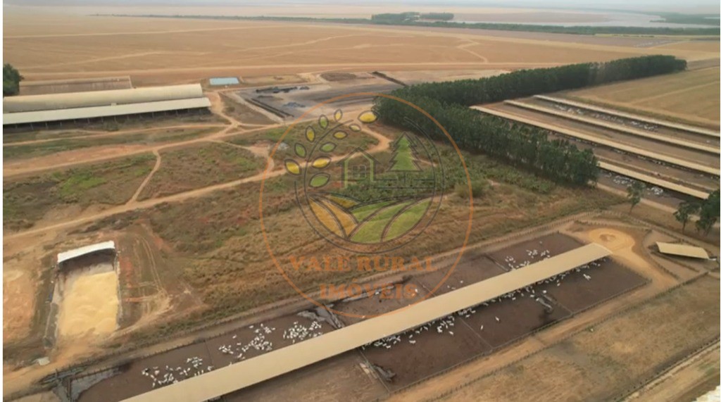 Fazenda - Foto 13