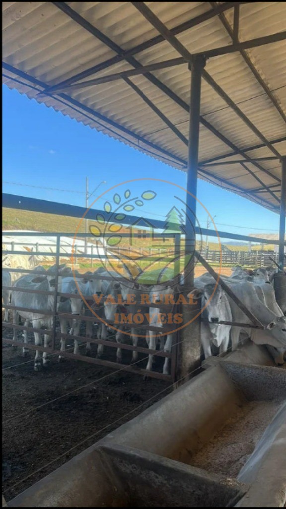 Fazenda - Foto 11