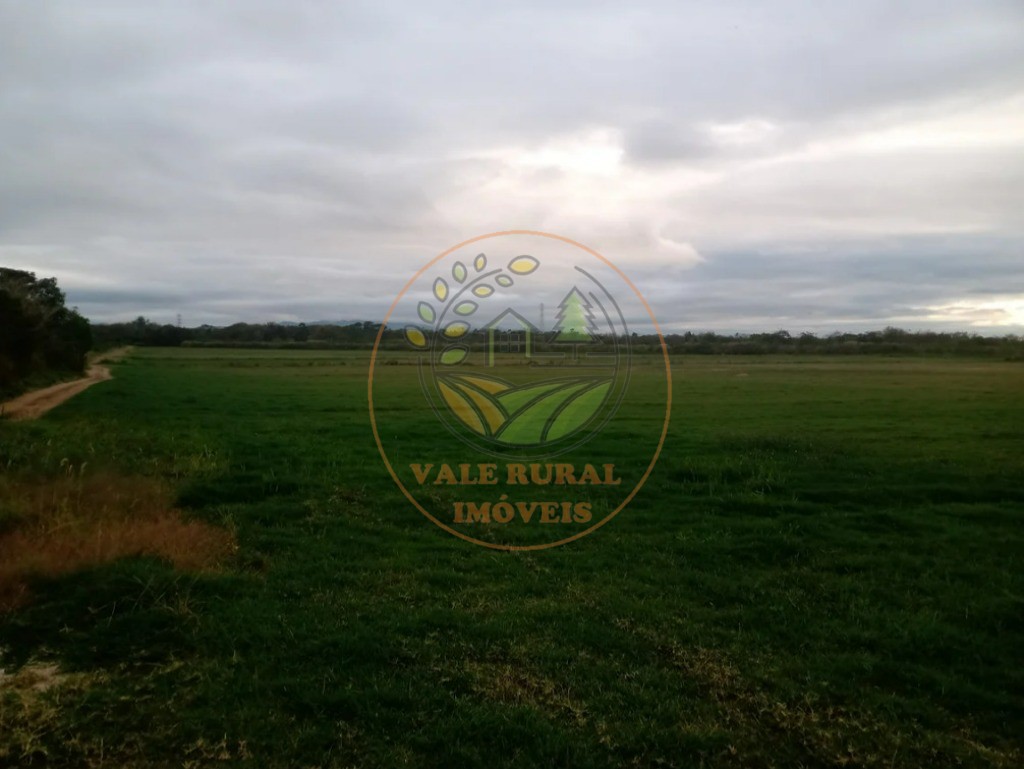 Fazenda - Foto 17