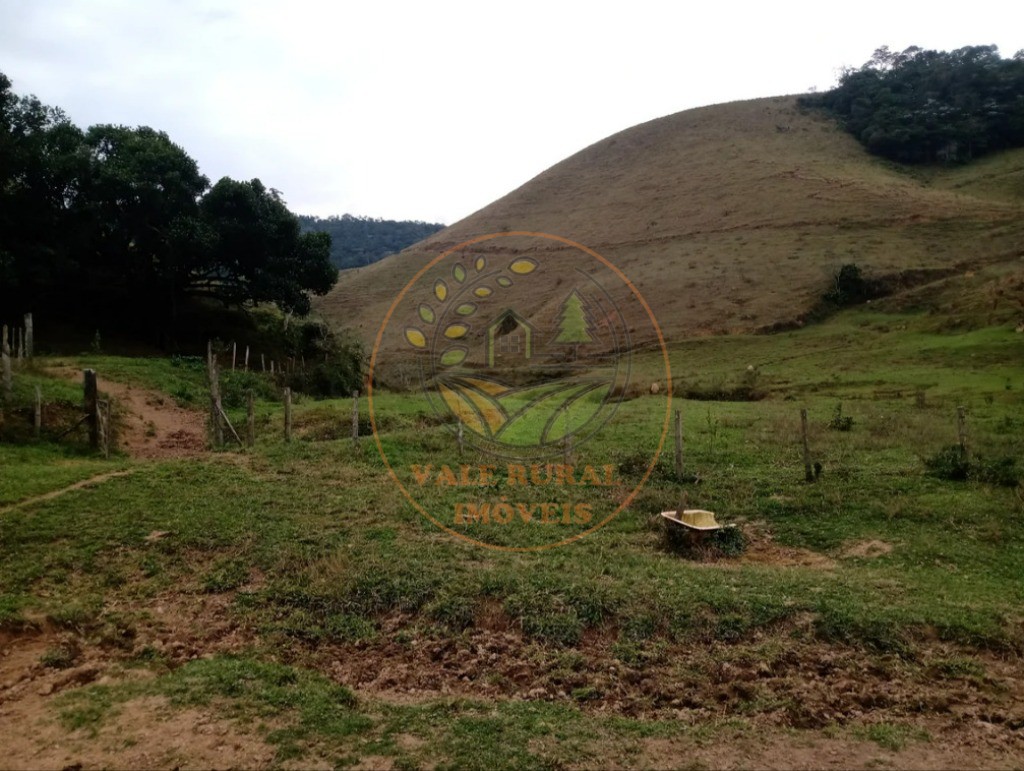 Fazenda, 3 quartos - Foto 14