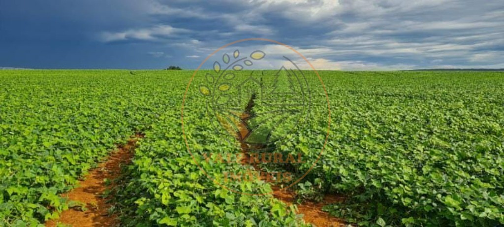 Fazenda - Foto 5