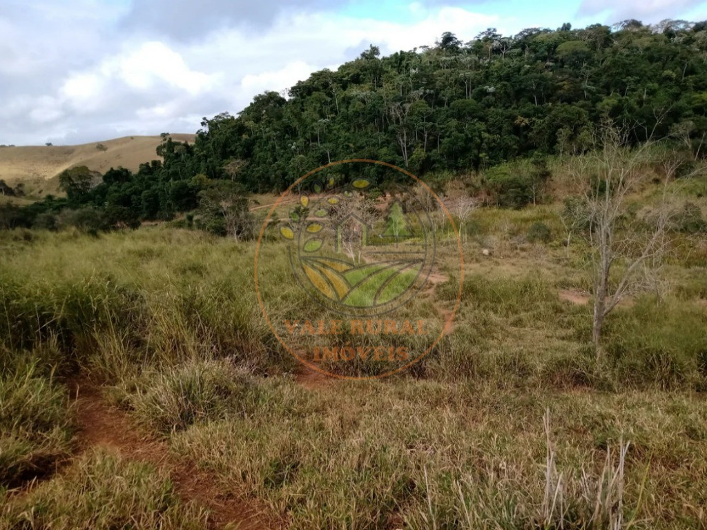 Fazenda - Foto 12