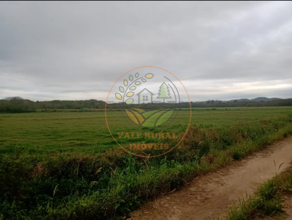Fazenda - Foto 19