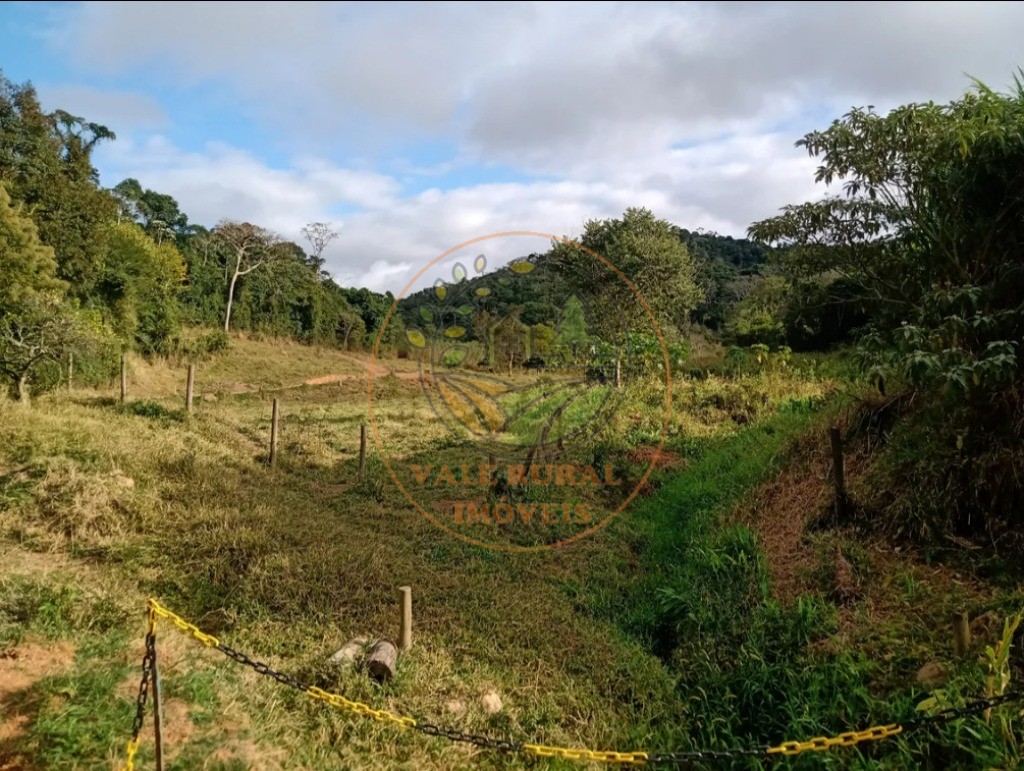 Fazenda - Foto 4
