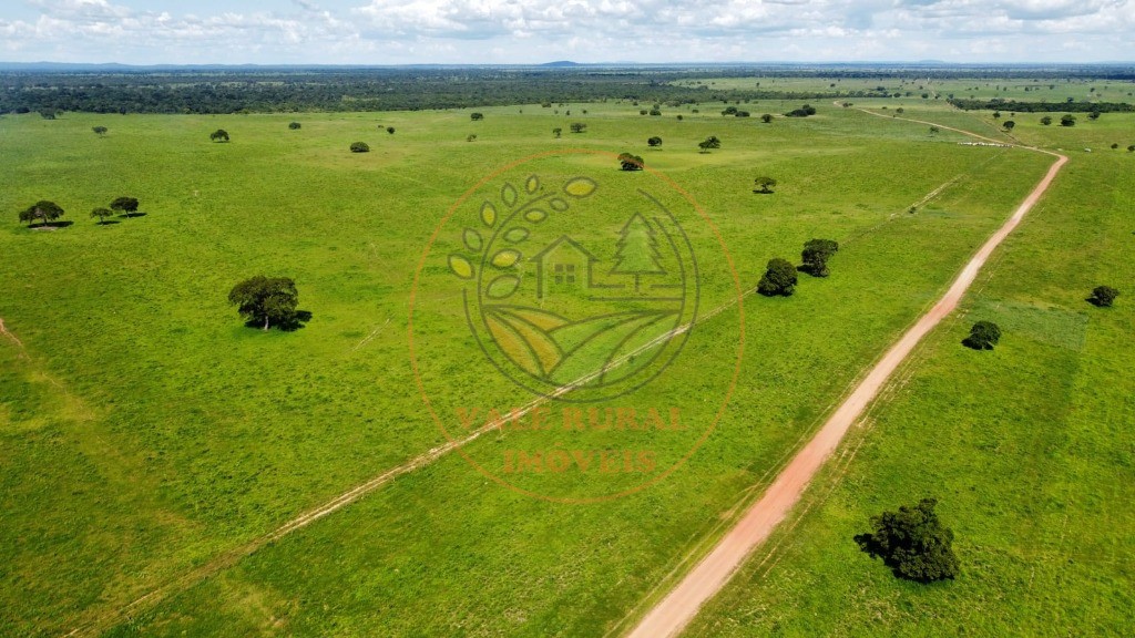 Fazenda - Foto 9