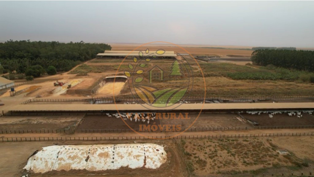 Fazenda - Foto 11