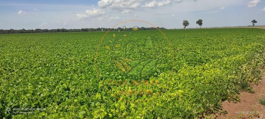 Fazenda - Foto 11