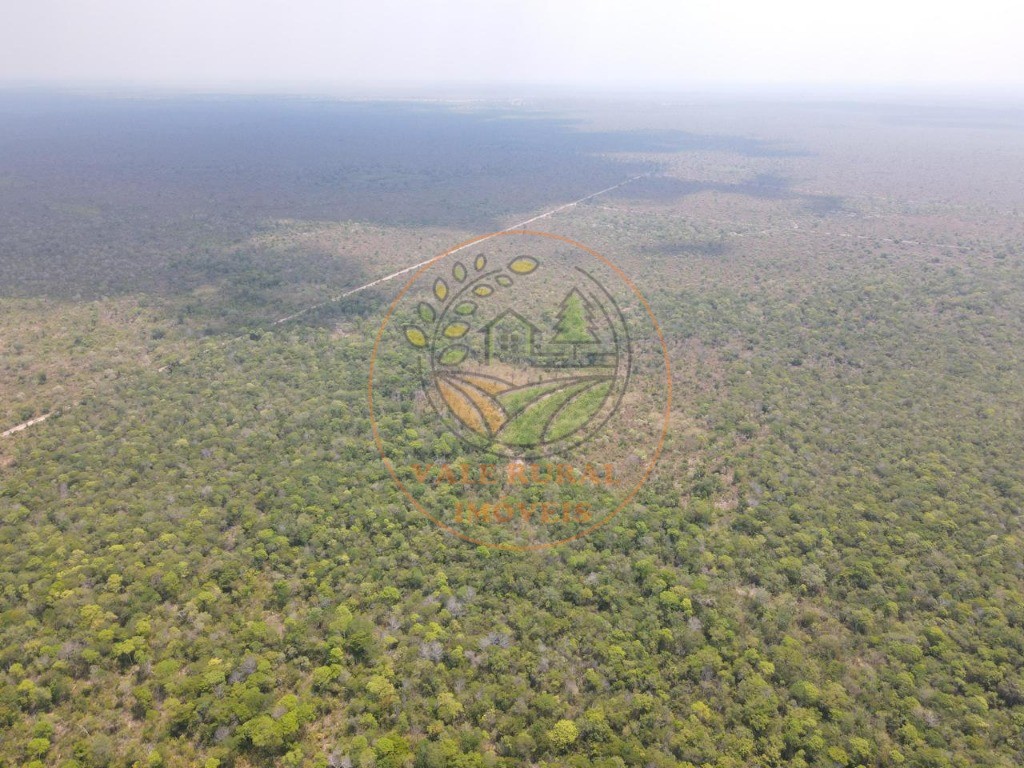 Fazenda - Foto 13