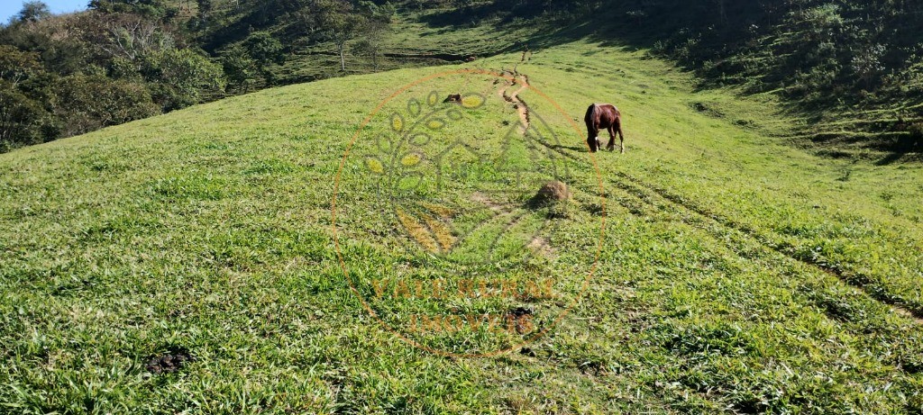 Sítio, 1 quarto - Foto 49