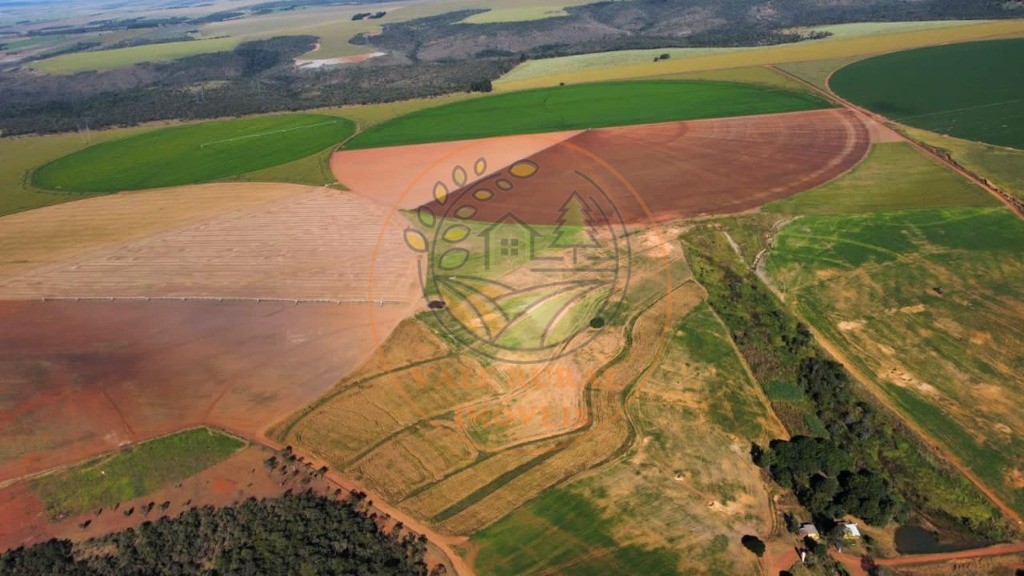 Fazenda - Foto 14