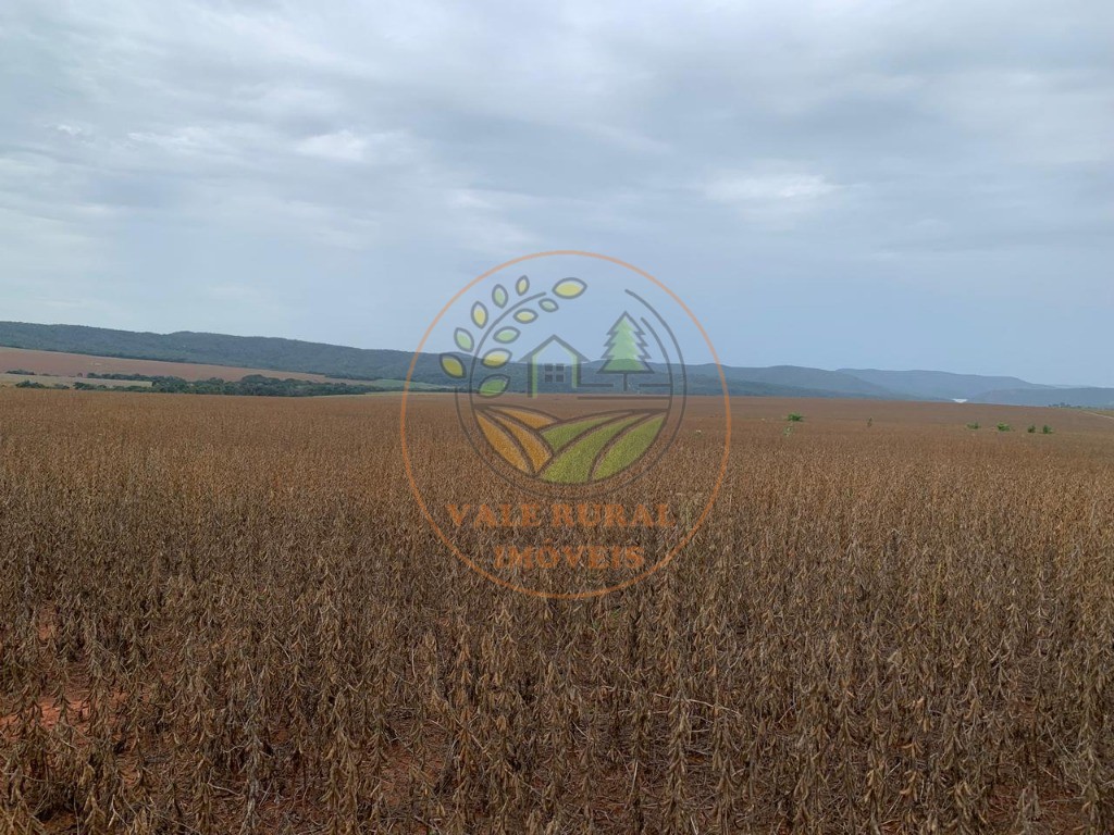 Fazenda - Foto 3