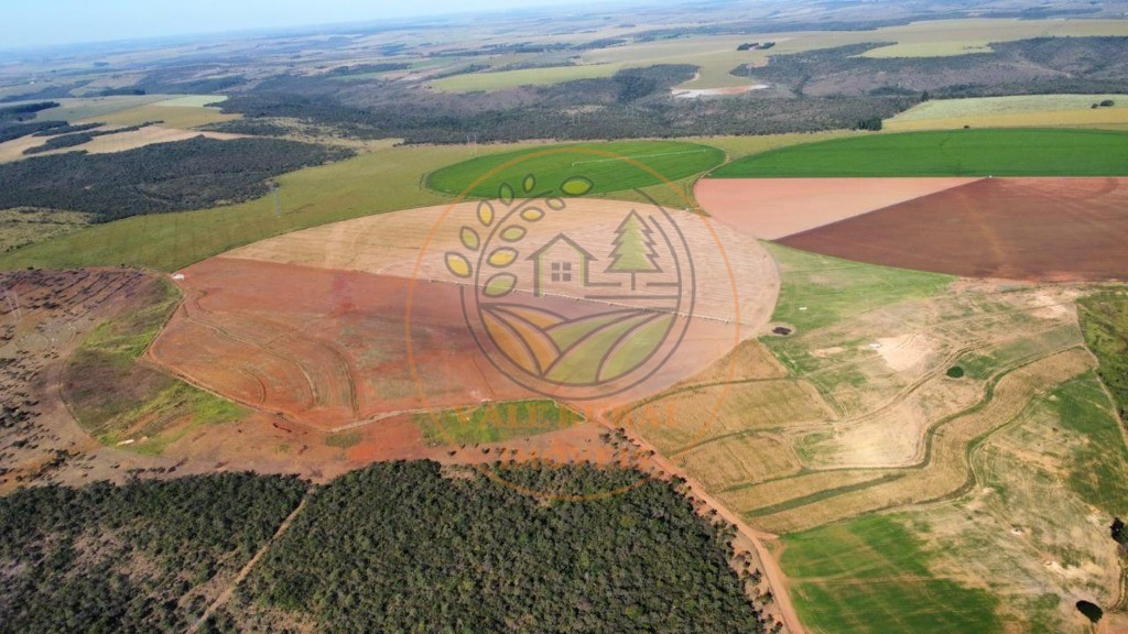 Fazenda - Foto 12