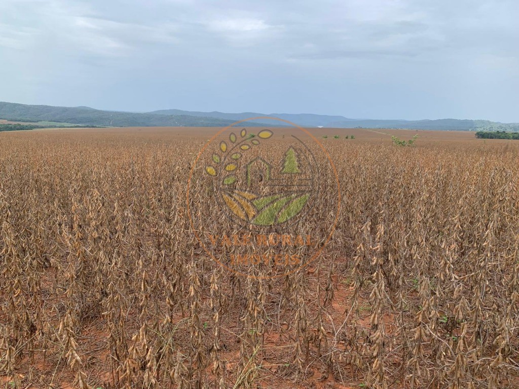Fazenda - Foto 1