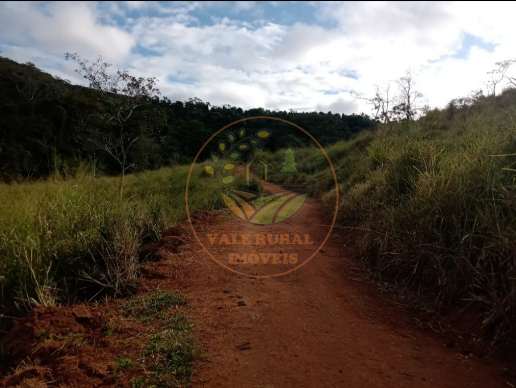 Fazenda - Foto 7