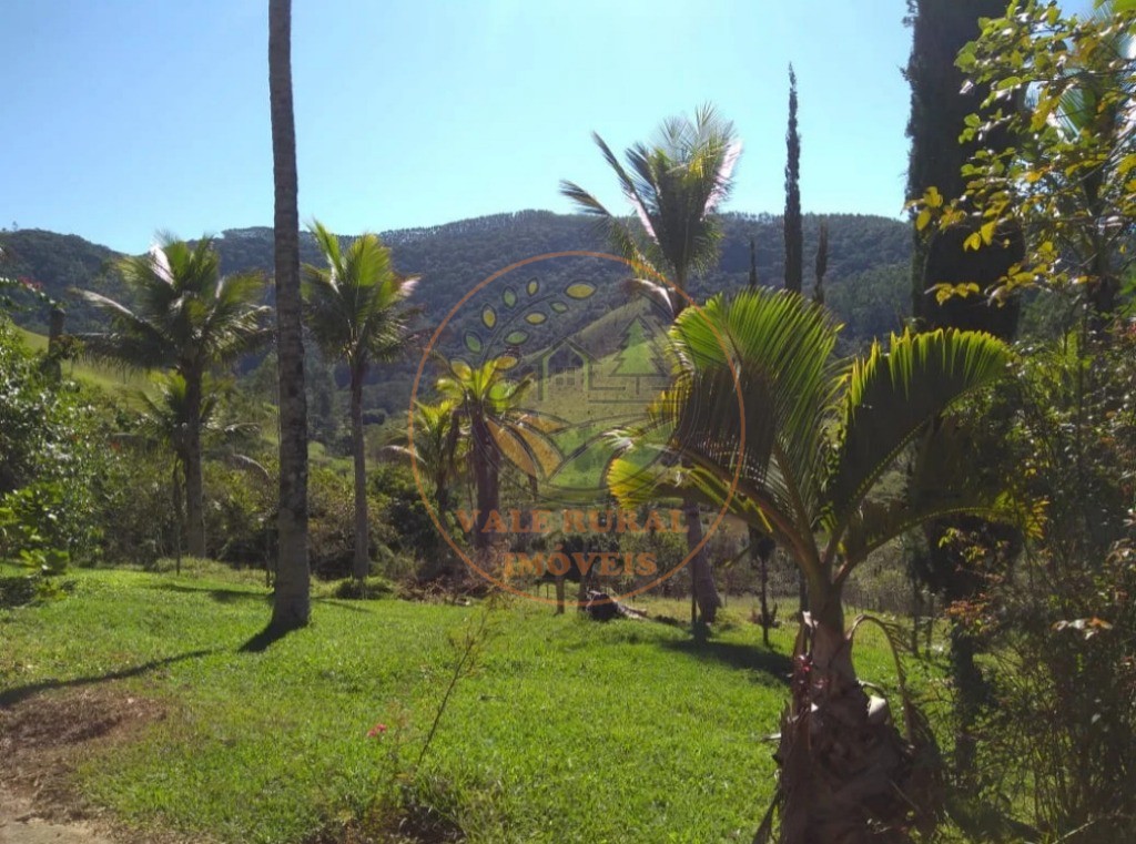 Fazenda - Foto 11