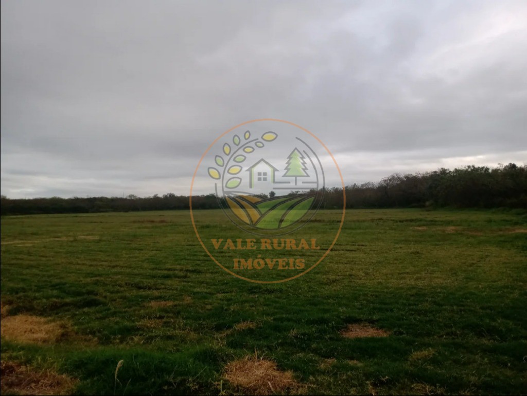 Fazenda - Foto 18