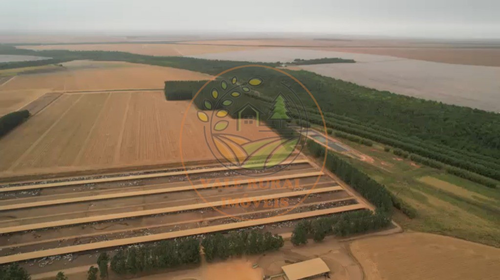 Fazenda - Foto 7
