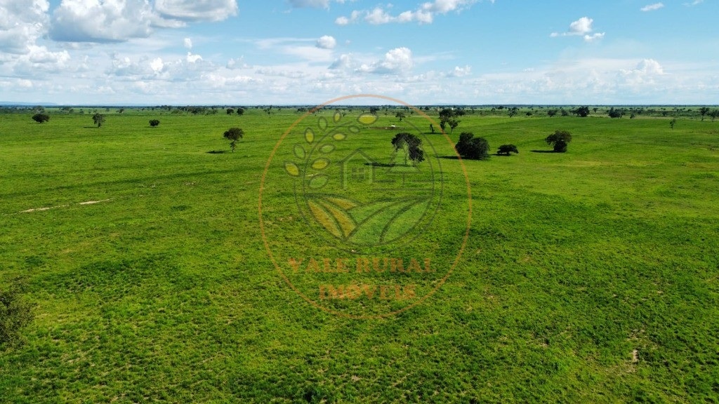 Fazenda - Foto 5