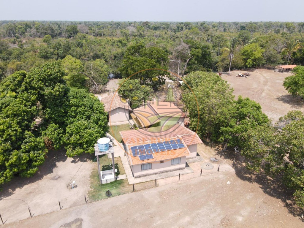 Fazenda - Foto 19