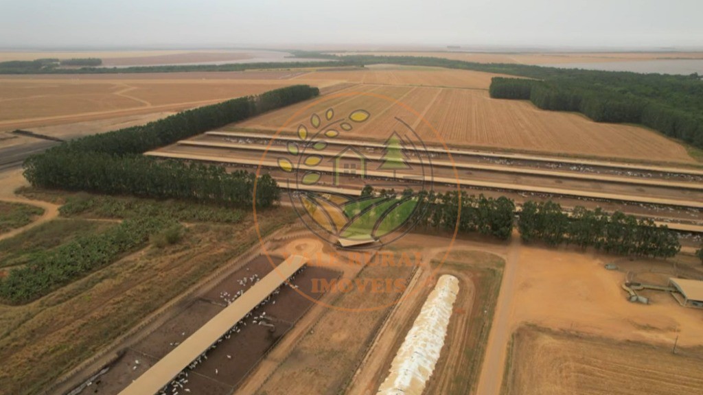 Fazenda - Foto 14
