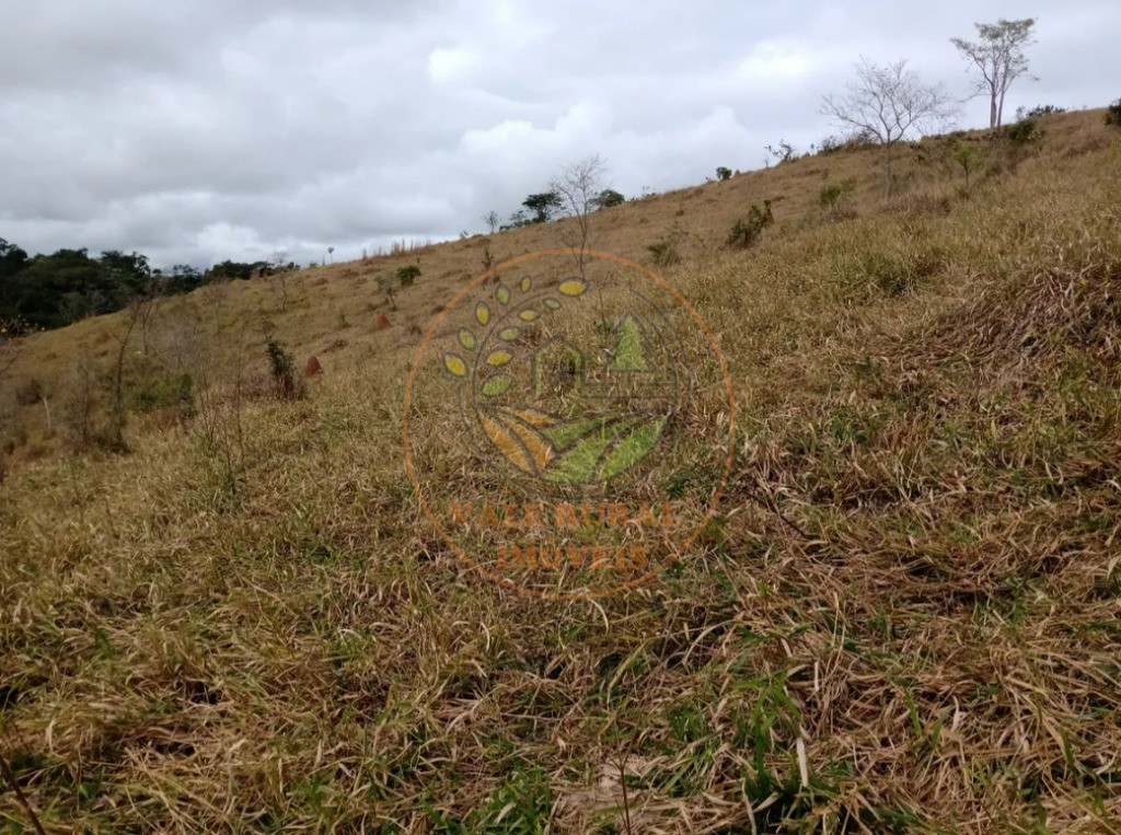 Fazenda - Foto 15