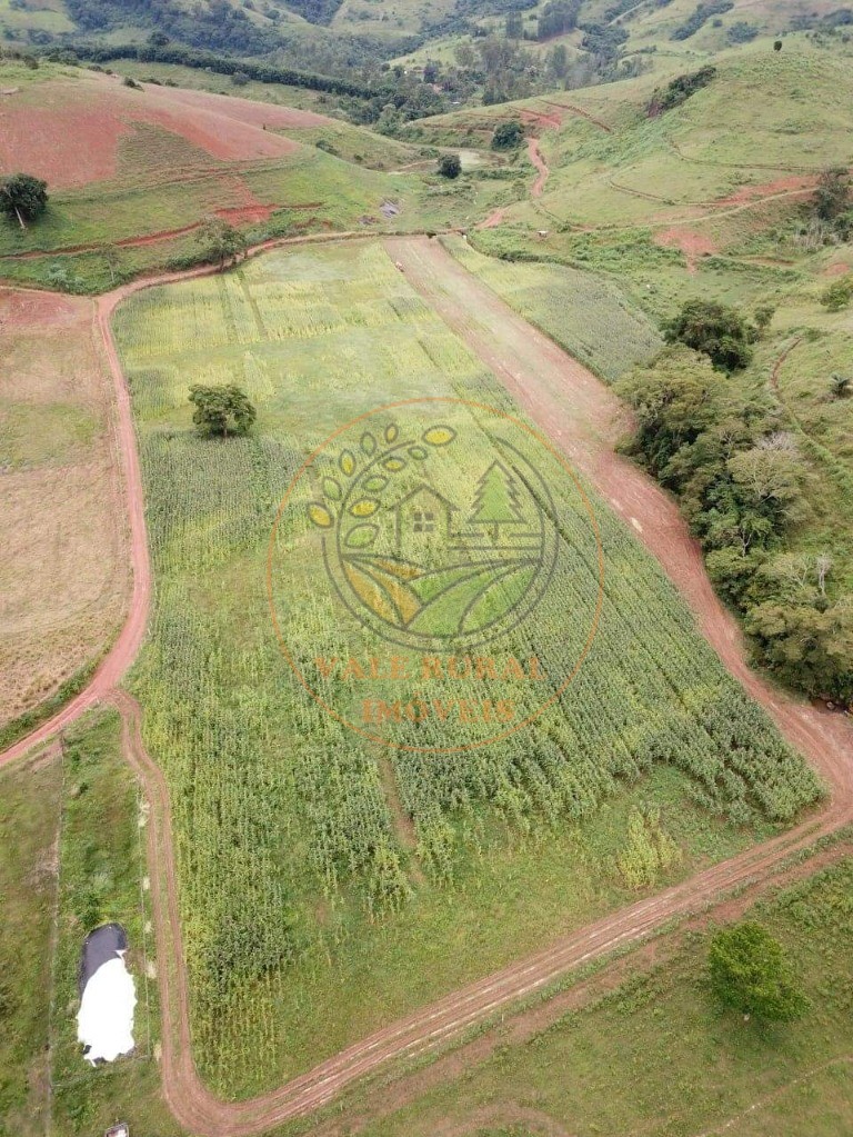 Fazenda - Foto 14