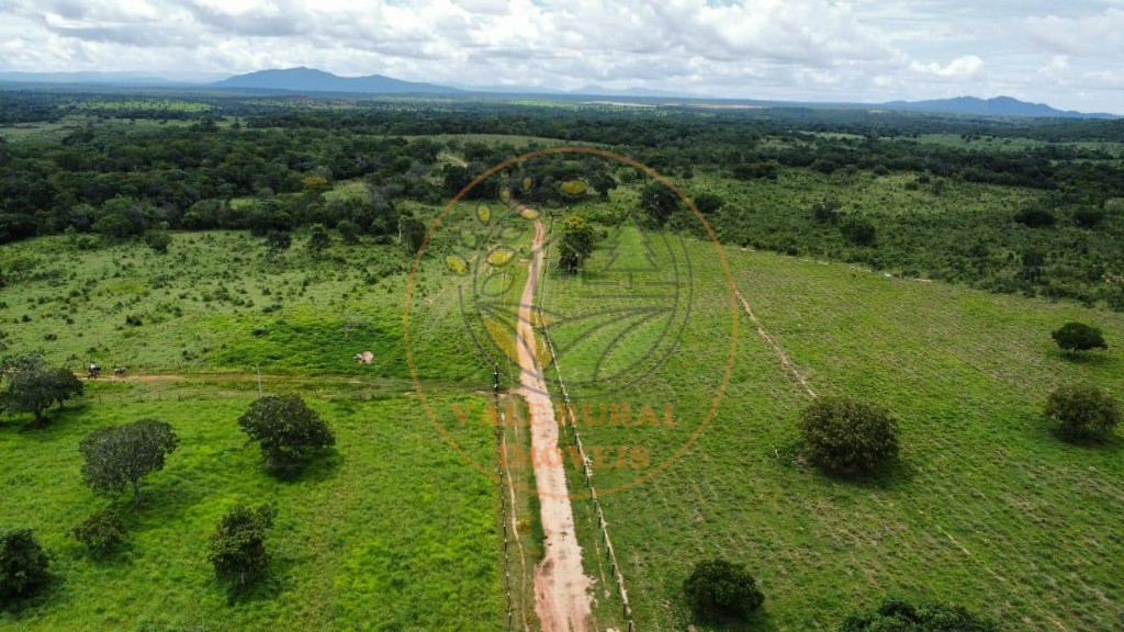 Fazenda, 3 quartos - Foto 8