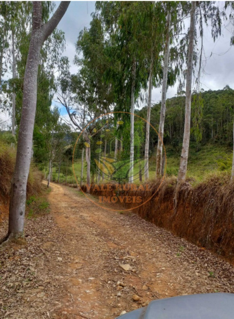 Fazenda - Foto 7
