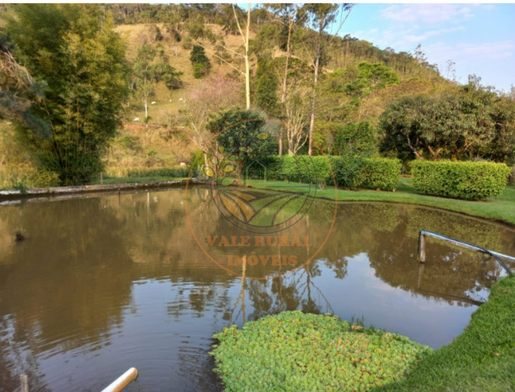 Fazenda - Foto 19