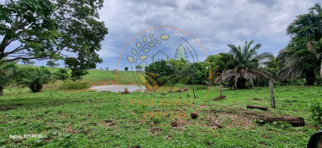 Fazenda, 1 quarto - Foto 20