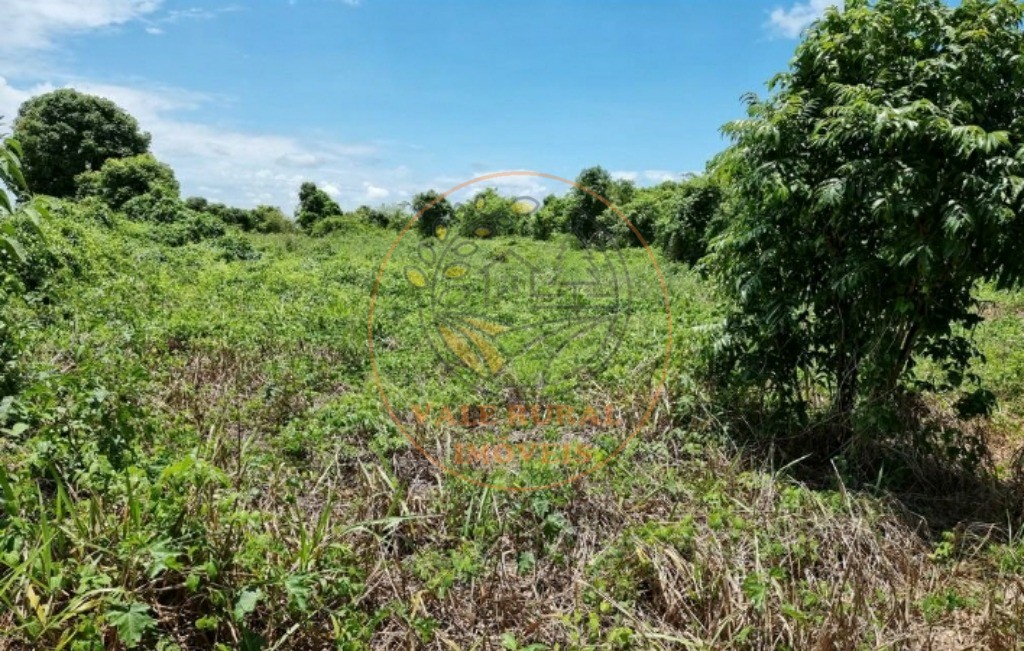 Fazenda - Foto 5