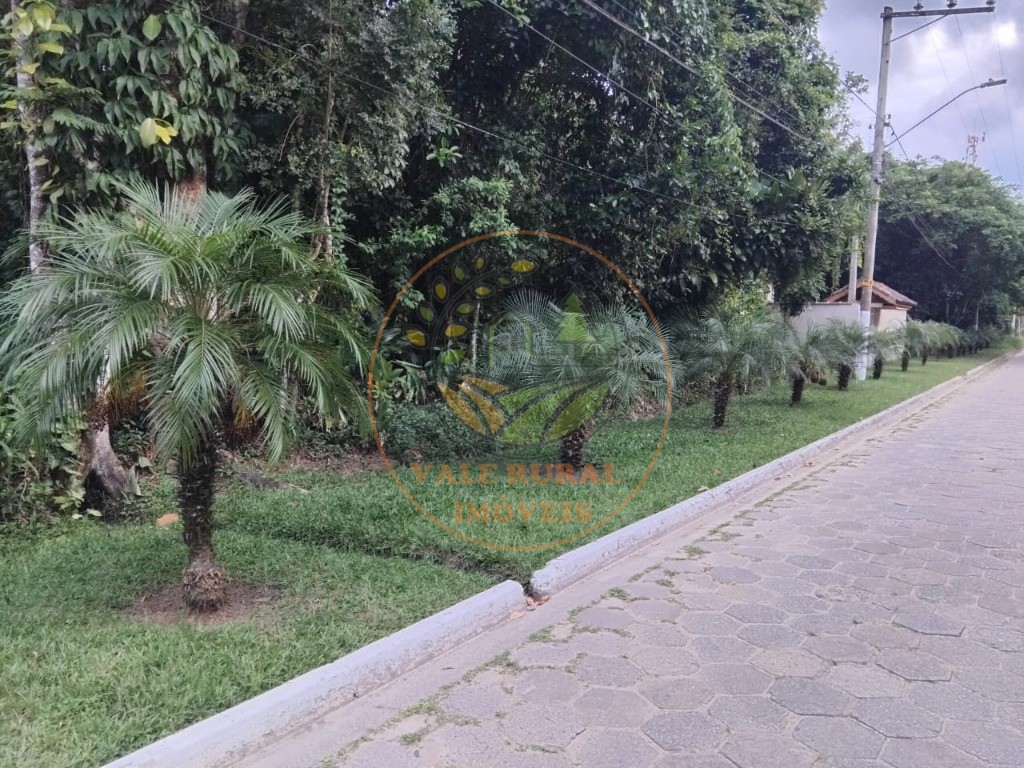 Chácara, 3 quartos - Foto 11