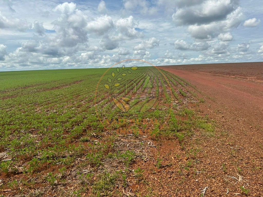 Fazenda, 1 quarto - Foto 3