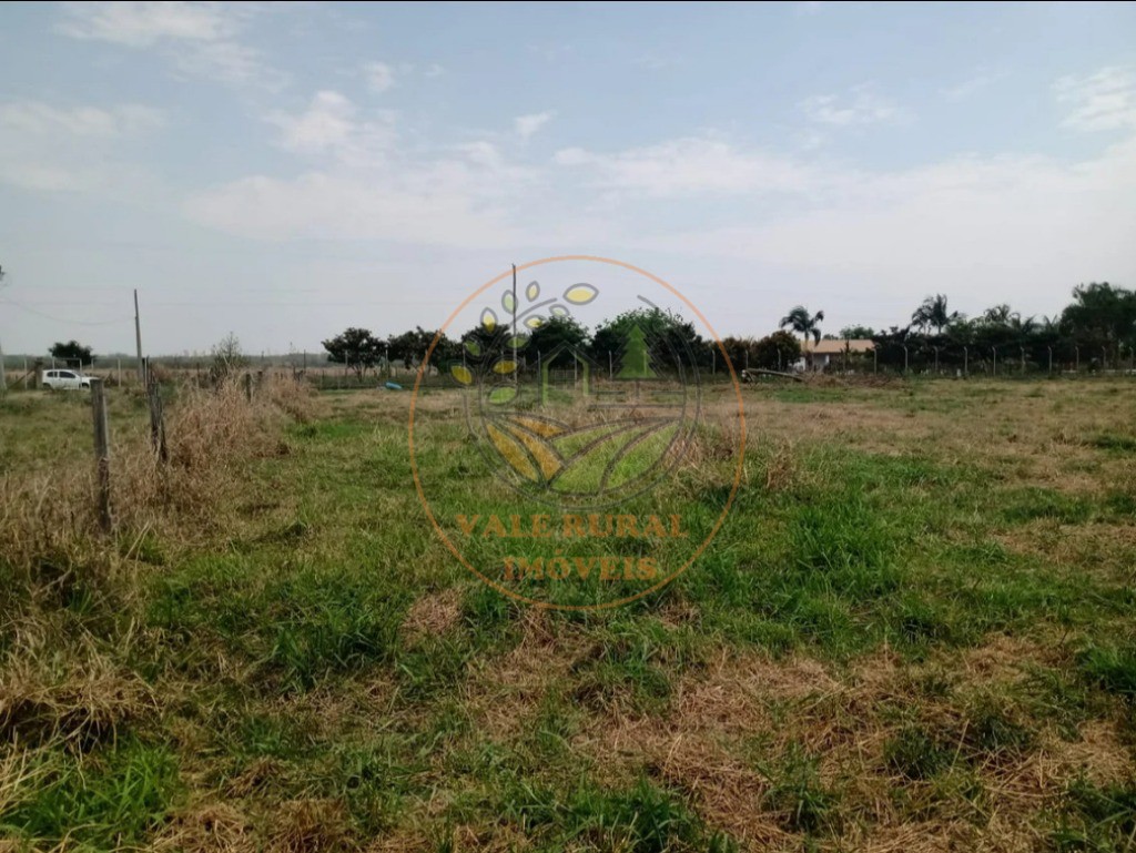Fazenda - Foto 7