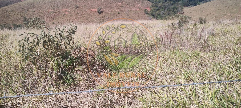 Fazenda - Foto 7